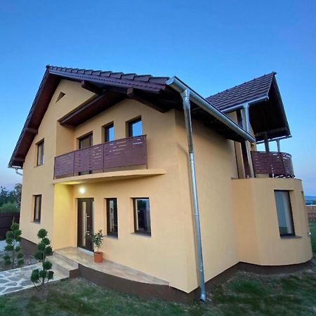 Casa Casy Villa Oradea Ngoại thất bức ảnh