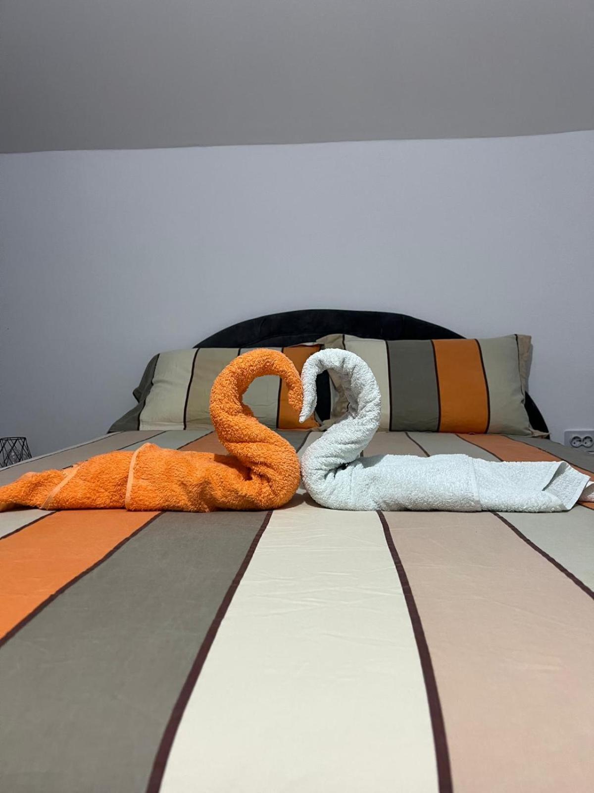 Casa Casy Villa Oradea Ngoại thất bức ảnh